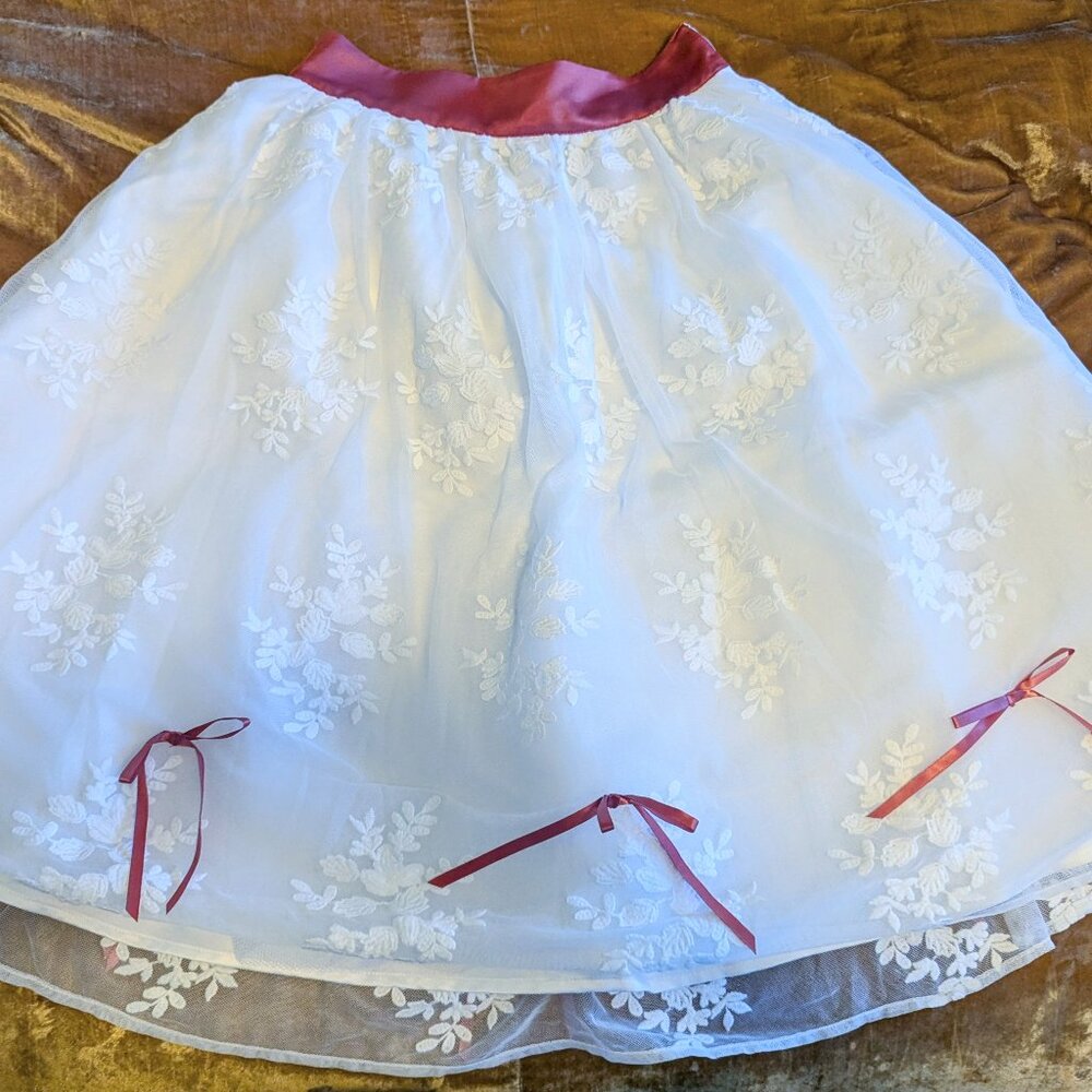 Mary Poppins skirt from Disney World